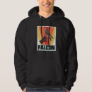 Search for falconry clothing Hawk