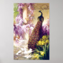 Search for wisteria flowers posters Peacock