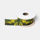 Search for daffodil ribbon Nature