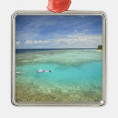 Search for north the christmas tree decorations Sea