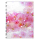 Search for japanese notebooks Sakura