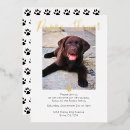 Search for new puppy invitations Dog adoption