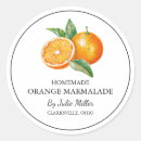 Search for vegetable Modern