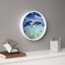 Search for dolphin clocks Animals