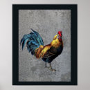 Search for chicken decor posters Farm animal