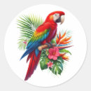 Search for macaw stickers Parrot