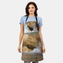Search for stormy aprons Nature