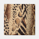 Search for zebra square magnets Leopard