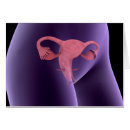 Search for gonad postcards Physiology