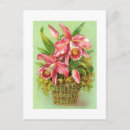 Search for black and white pink postcards Orchids