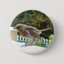 Search for robins badges Red
