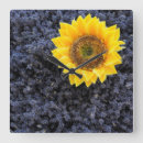 Search for herb clocks Lavender