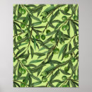 Search for olive branch posters Watercolor