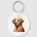 Search for labrador key rings Pet