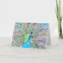 Search for watercolor peacock feather cards Feathers