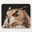 Search for big head electronics Wildlife