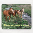 Search for foal mousepads Wild horse