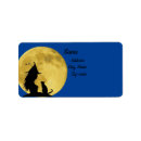 Search for fullmoon Witch