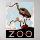 Search for visit the zoo posters Crane
