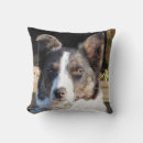 Search for border collie cushions Animal