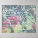 Search for inspirational butterfly quotes posters Butterflies