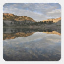 Search for reflections stickers Cloud