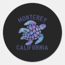 Search for turtle design stickers Tribal
