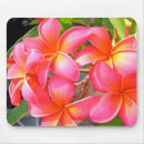 Search for plumeria mousepads Tropical