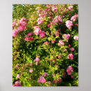 Search for flower power posters Garden