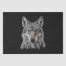 Search for wolf tissue paper Portrait