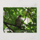 Search for singing postcards Nature