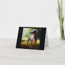 Search for greyhound cards Breed