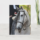 Search for andalusian cards Lusitano