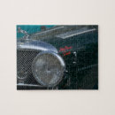 Search for jaguar puzzles Classic