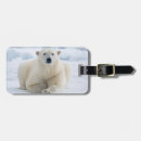 Search for polar bear luggage tags Animal