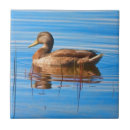 Search for duck tiles Mallards