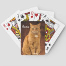 Search for orange cat playing cards Cute