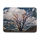 Search for sky and clouds rectangular magnets Abstract