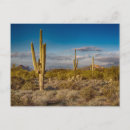 Search for superstition postcards Nature