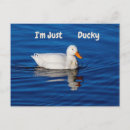 Search for ducky postcards Animal