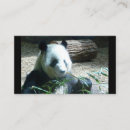 Search for panda bear business cards Zoo