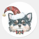 Search for chihuahua stickers Long haired chihuahua