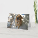 Search for smiling dog birthday cards Animal