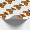 Search for brown bear wrapping paper Plush