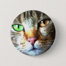 Search for kat badges Animals