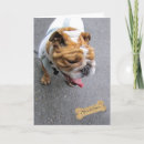 Search for pleasure cards Dog
