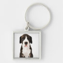 Search for great dane puppy key rings Full length