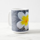 Search for plumeria coffee mugs Floral