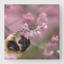 Search for smells art Cute