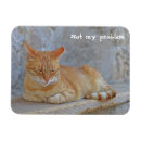 Search for problems magnets Animal